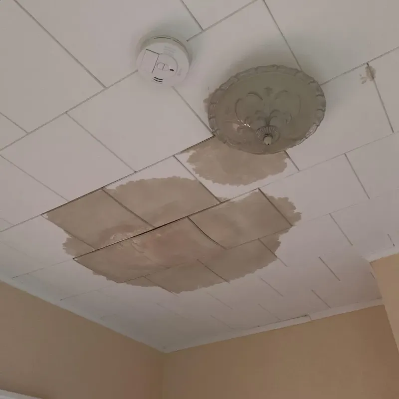Ceiling Water Damage Repair in Monona, IA