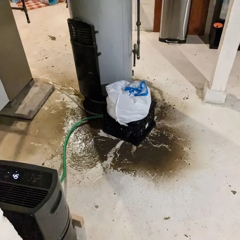 Sewage Backup Cleanup Service in Monona, IA